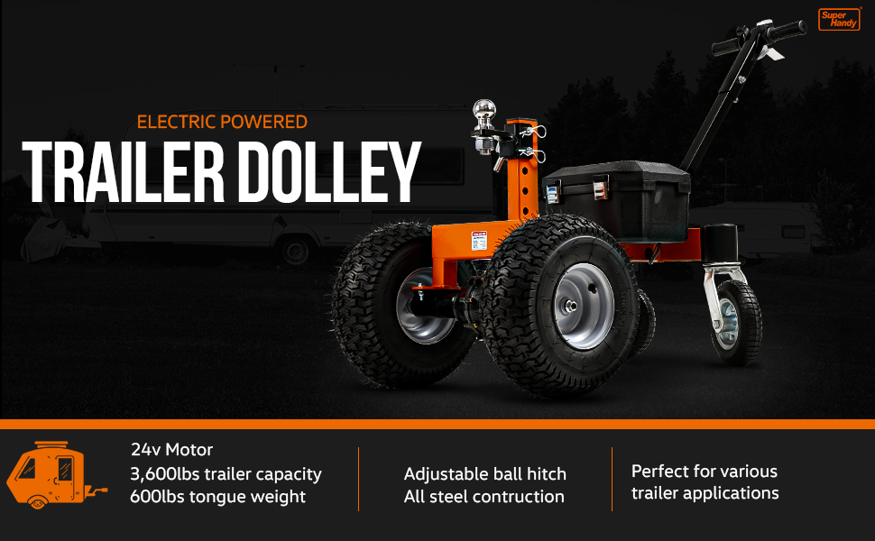 A+ DOLLY 01